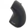 Equip 245110 mouse wireless ergonomico verticale - per destrimani - 2,4 GHz - ricevitore USB - nero