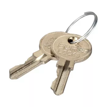 EFB Elektronik Chiave per serratura di sicurezza rack