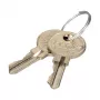 EFB Elektronik Chiave per serratura di sicurezza rack