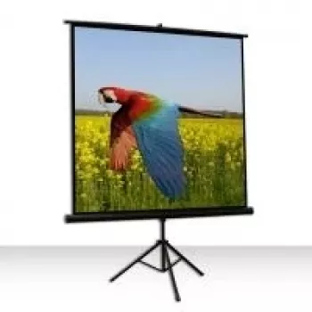Celexon Economy schermo a treppiede 1:1 219 x 219
