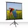Celexon Economy schermo a treppiede 1:1 219 x 219