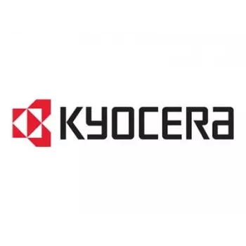 Kyocera DK-3170(E) unità tamburo originale - 300.000 pagine