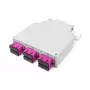 DIGITUS Box di distribuzione in fibra ottica per guida DIN, MM OM4, preassemblato, con adattatore SC e pigtail