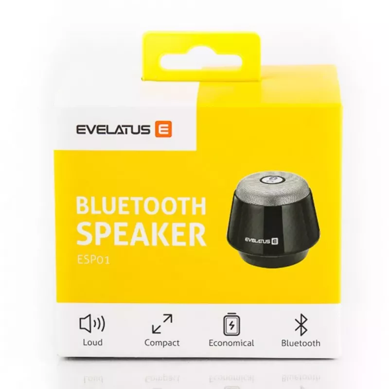 Evelatus altoparlante Bluetooth ESP01 argento