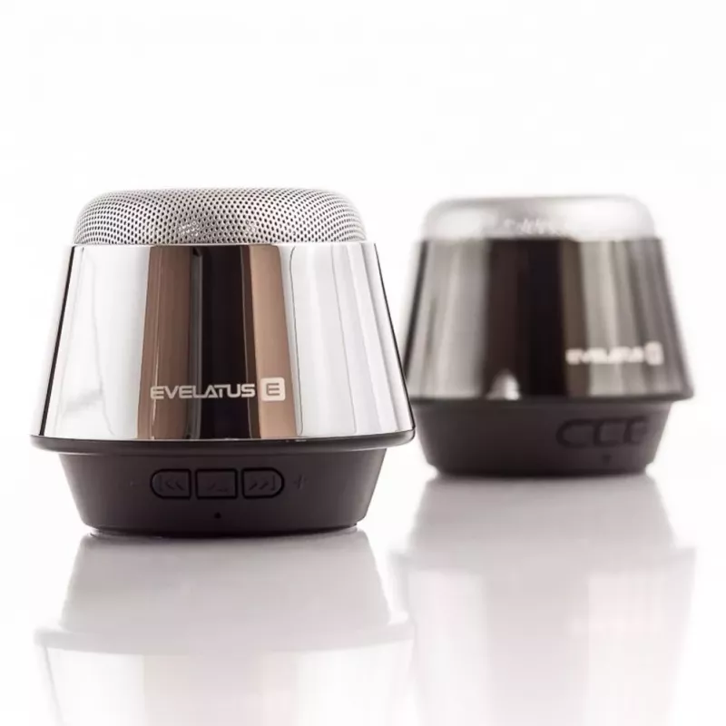 Evelatus altoparlante Bluetooth ESP01 argento