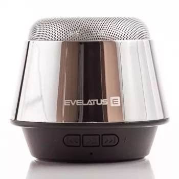 Evelatus altoparlante Bluetooth ESP01 argento