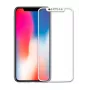 EVELATUS Apple iPhone X 2.5D Full Cover Japan Glue Glass Anti-Static Pellicola Protettiva
