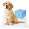 iLike traversine igieniche monouso super assorbenti per cani e gatti 20 pz antiperdita 60x90 cm