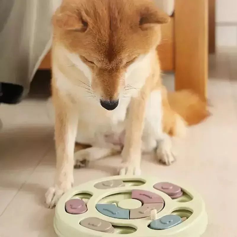 iLike Dog Treat Puzzle Feeder diam. 24 cm Gioco interattivo slow-eating da addestramento multicolore