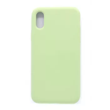 Evelatus Apple iPhone XR Custodia in silicone Premium Soft Touch Mint Green