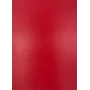 Evelatus Film universale Classic Cowhide A3 per plotter da taglio rosso
