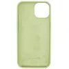 Evelatus Apple iPhone 13 custodia in silicone Premium Soft Touch verde matcha