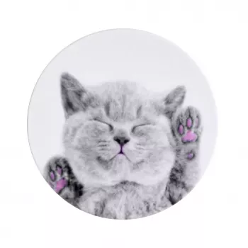 iLike Supporto universale Pop Cat