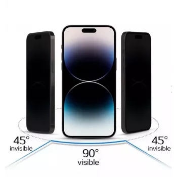 iLike Apple iPhone 17 Pro Max Vetro temperato privacy, Nero