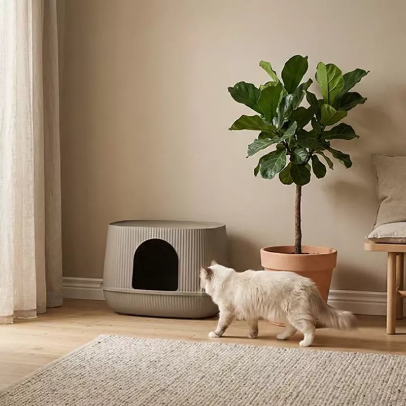 SAVIC Moona lettiera per gatti grigio 57x39x39 cm