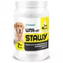EWE EUROWET Wita-Vet Joints - integratore alimentare per cani - 30 compresse