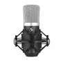 SGG Stagg SUM40 microfono USB a condensatore