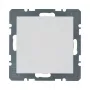 Berker 10091909 placca cieca bianco polare S.1/B.1/B.7 con placca centrale