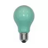 Scharnberger 40246 lampadina a incandescenza 25W verde B60x105mm E27 240V
