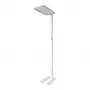 Synergy 21 lampada da terra LED Office Line bianca, dimmerabile