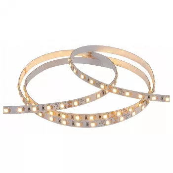 SYNERGY21 striscia LED Flex 3528 80 WW DC24V 24W LP IP20 5m