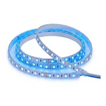 SYNERGY21 striscia LED Flex 3528 - 80 blu DC24V 72W HP IP68