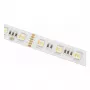 SYNERGY21 Striscia LED Flex 2835 - 60 WW Pixel DC24V WS2811 IP20