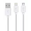 Rio DCWU-EU/1,6 kit sbiancamento denti USB