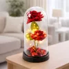 LEAN 2 rose eterne in campana con illuminazione LED e petali di rosa rosse 21x11cm