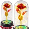 LEAN Rosa eterna in campana di cristallo illuminazione LED rossa 21x11cm