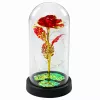 LEAN Rosa eterna in cristallo in campana con illuminazione LED rossa 21x11cm