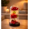 LEAN 2 rose eterne in campana con illuminazione LED e petali di rosa rosse 21x11cm