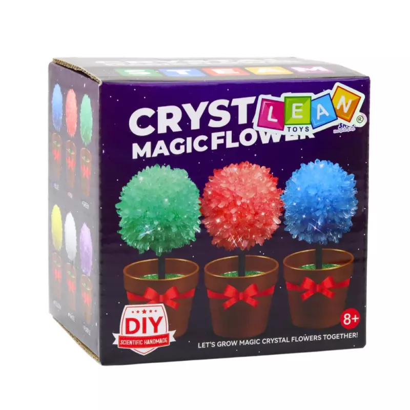 LEAN TOYS Coltivazione cristalli albero magico cristallo esperimento educativo