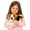 LEAN TOYS Beagle peluche, peluche, cane morbido, 25 cm