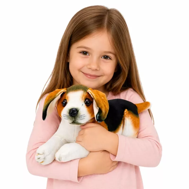 LEAN TOYS Beagle peluche, peluche, cane morbido, 25 cm