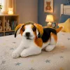 LEAN TOYS Beagle peluche, peluche, cane morbido, 25 cm
