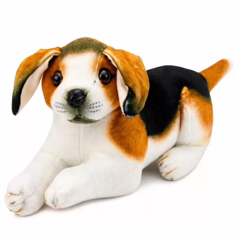 LEAN TOYS Beagle peluche, peluche, cane morbido, 25 cm