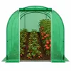 LEAN Serra per ortaggi, finestre verdi UV, 3,5x2x2 m, 7 m²