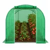 LEAN Tunnel in film plastico serra da giardino per ortaggi PRO struttura 25MM 10x3x2M 30M²