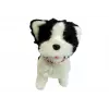 LEAN TOYS Cane al guinzaglio husky interattivo