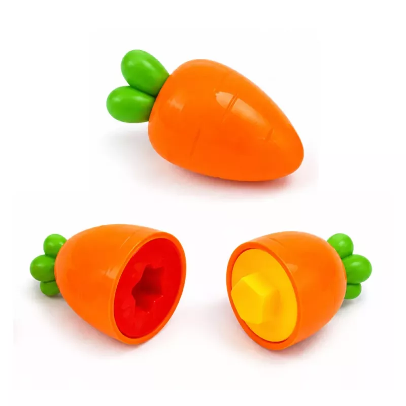 LEAN TOYS Gioco educativo ordinamento carote forme colori abbinamento 12 pezzi