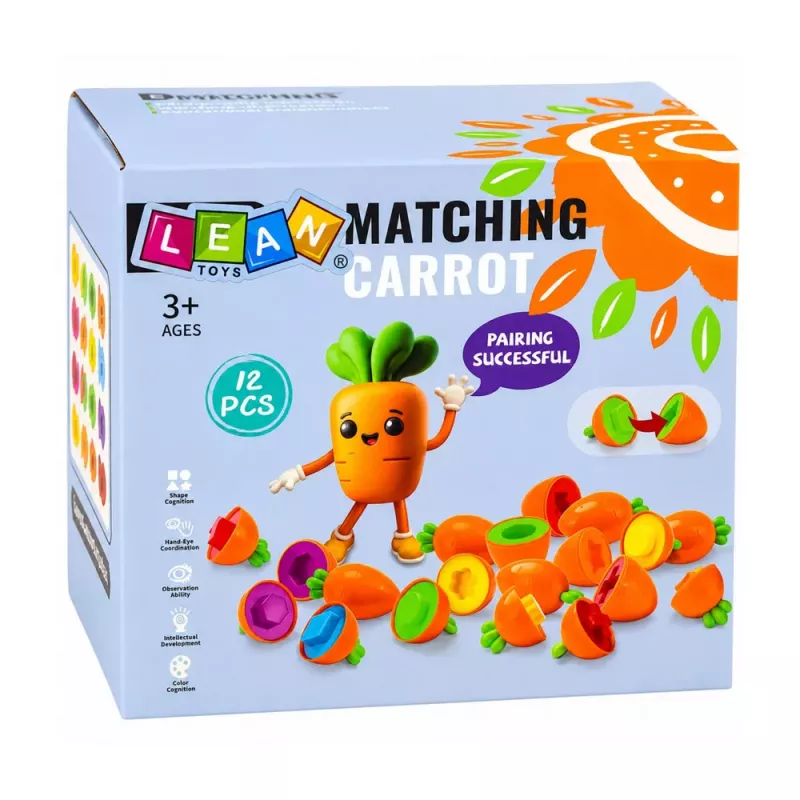 LEAN TOYS Gioco educativo ordinamento carote forme colori abbinamento 12 pezzi
