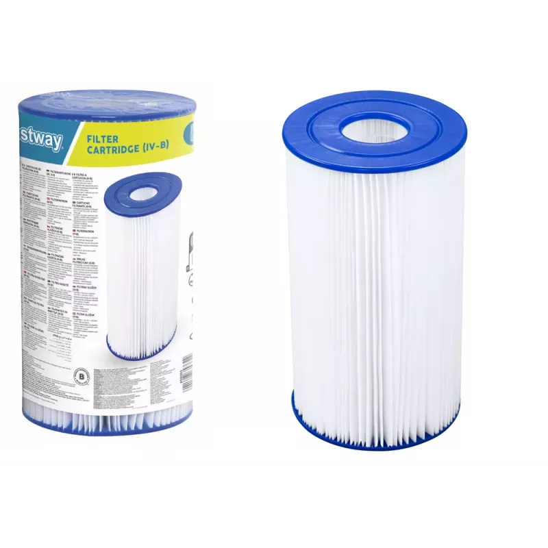 Bestway 58095 Filtro pompa Type IV per piscine fuori terra Flowclear