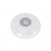 Bestway Luce LED galleggiante per piscina a batteria 58419