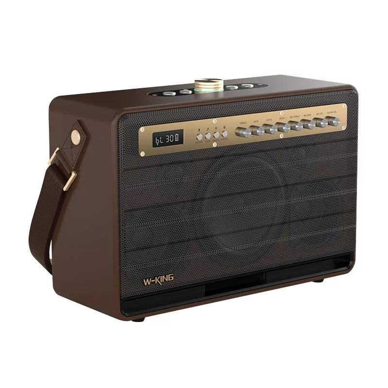 W-KING K6L Altoparlante Bluetooth portatile 120W, marrone
