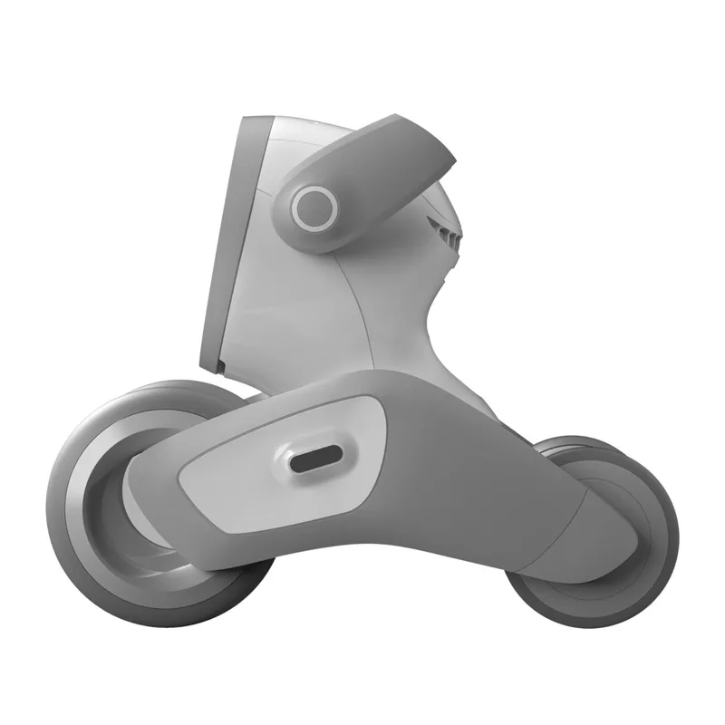 Loona Premium Robot interattivo