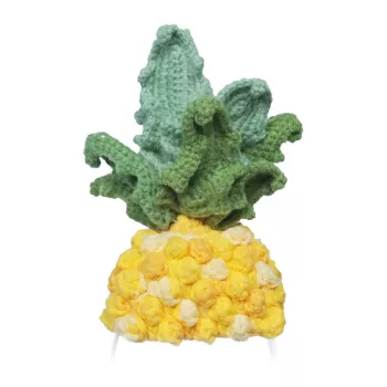 Costume in maglia per Loona Premium Pineapple