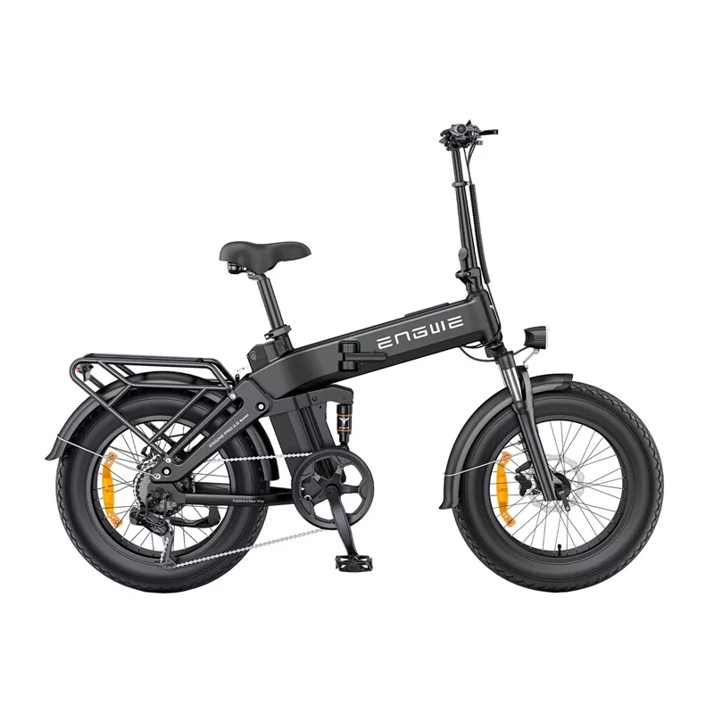 ENGWE PRO 3.0 BOOST 250W 20 bici elettrica (nero)