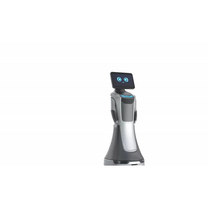 Orion Star OS-R-SG04 robot di servizio AI GreetingBot Nova