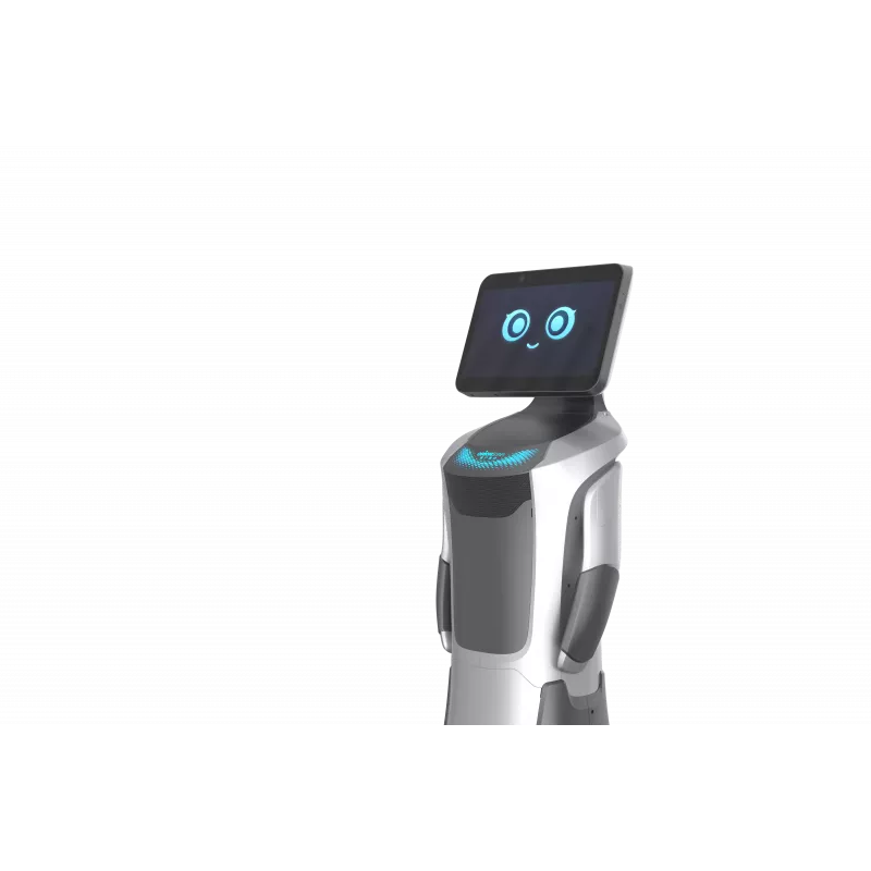 Orion Star OS-R-SG04 robot di servizio AI GreetingBot Nova